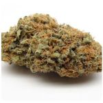 Шишки AK47 (Гидропоника, Бошка) VHQ в Коряжме Шишки AK47 (Гидропоника, Бошка) VHQ в Коряжме