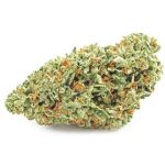 Шишки OG Kush (Гидропоника, бошки) VHQ в Коряжме Шишки OG Kush (Гидропоника, бошки) VHQ в Коряжме